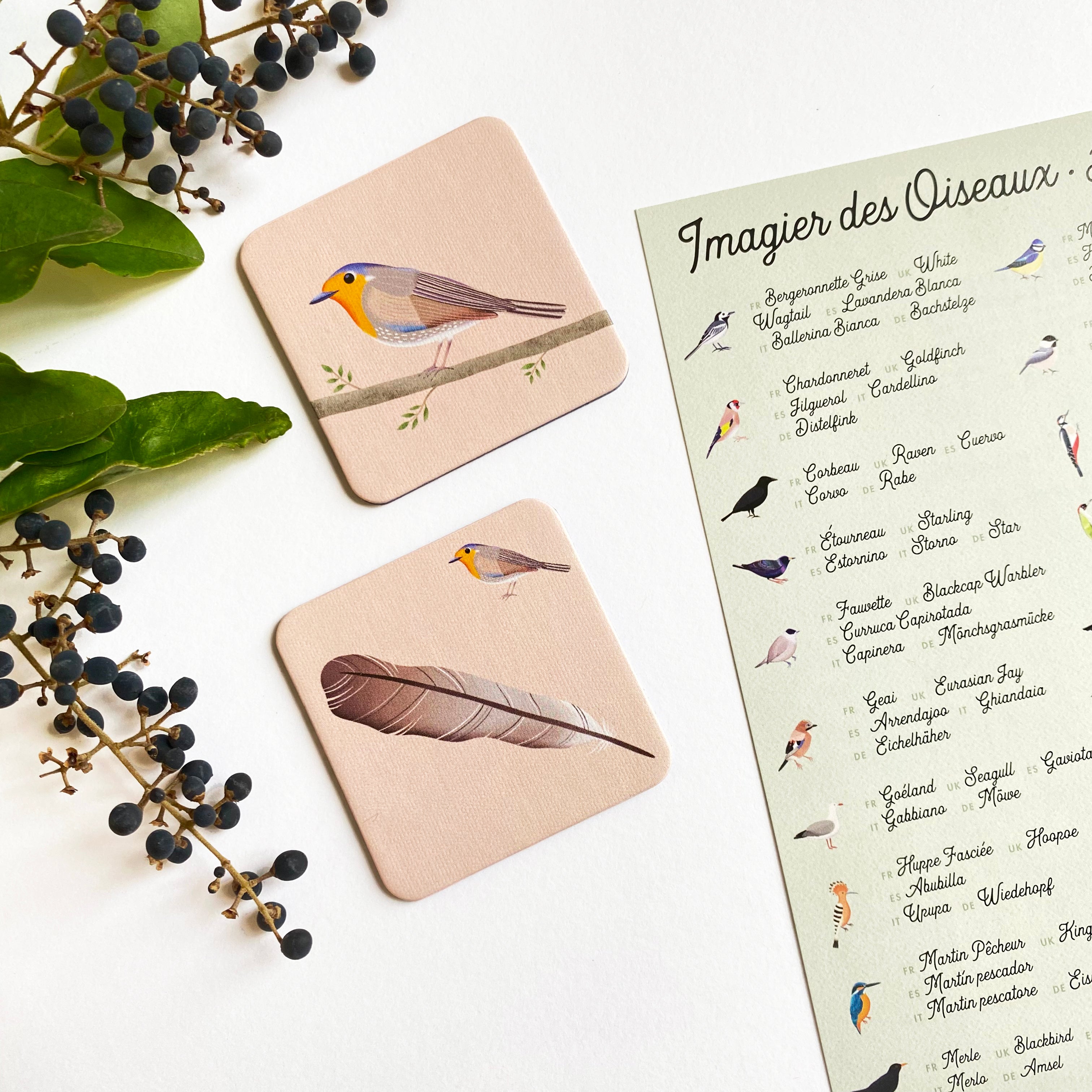 Mémo Rigolos - L'Oiseau et sa Plume : Un jeu de mémoire éducatif pour enfants dès 3 ans. Associez oiseaux et plumes pour développer mémoire et observation. Illustré, écologique et sans plastique. Idéal pour la famille !