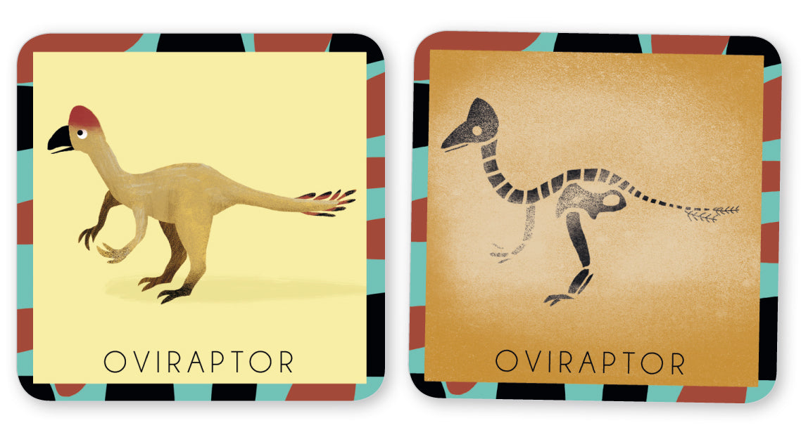 Mémo Rigolos - Le Dino et son Squelette : Un jeu de mémoire éducatif pour enfants dès 4 ans. Associez dinosaures et squelettes pour développer mémoire et observation. Illustré, écologique et sans plastique. Idéal pour la famille !